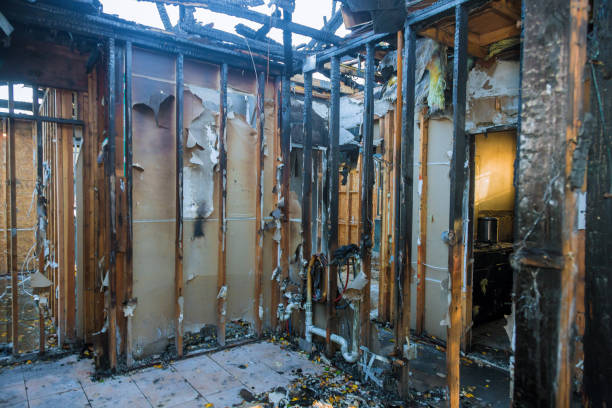 Professional Fire Damage Removal technician working in Hutchinson, MN
